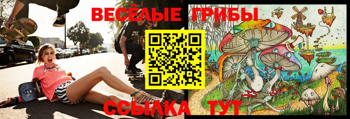 Алексеевка  Галлюциногенные грибы MAGIC MUSHROOMS  Вход с VPN 